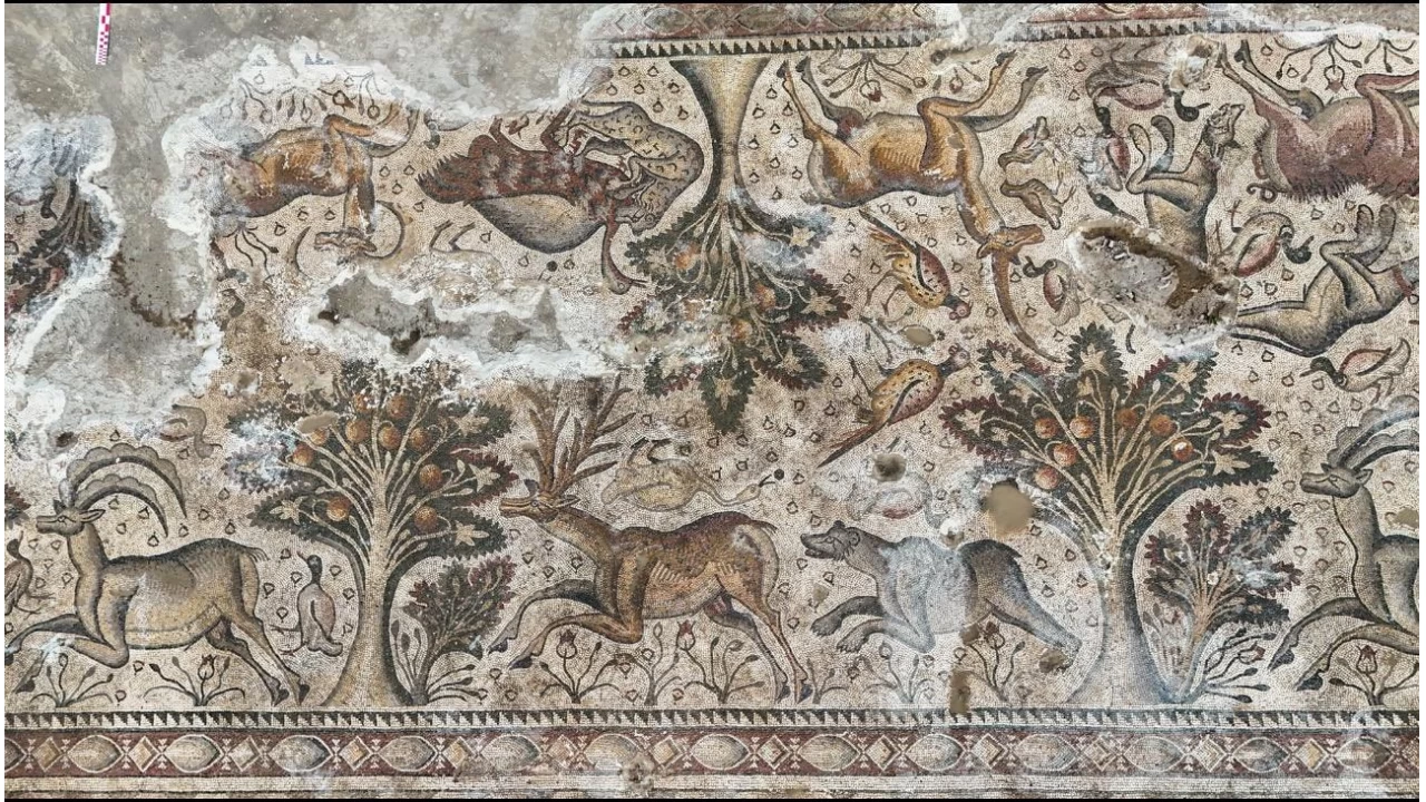 Salkaya'da arkeolojik kaz� alan� geni�liyor