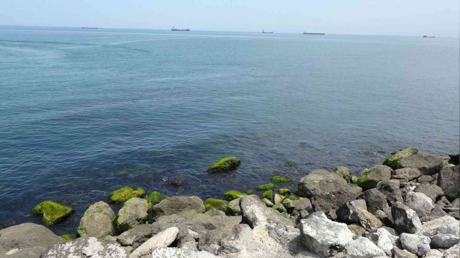 Samsun'da denizde kad�n cesedi bulundu