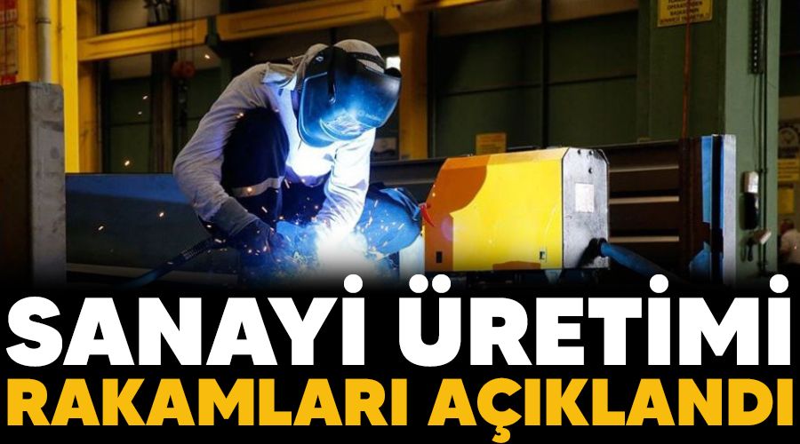 Sanayi üretimi rakamları açıklandı