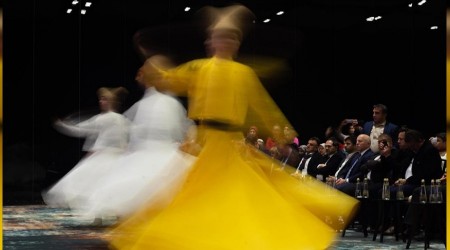 Şeb-i Arus'a yabancı ilgisi