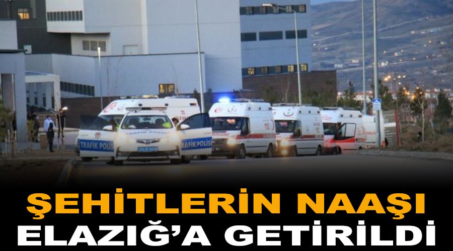 Şehitlerin naaşı tören için Elazığ'a getirildi