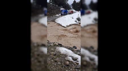 Selde mahsur kalanlar kurtarıldı