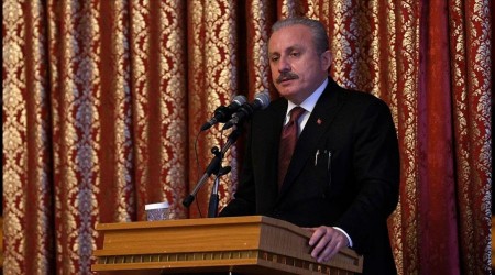 Şentop'tan yeni anayasa açıklaması