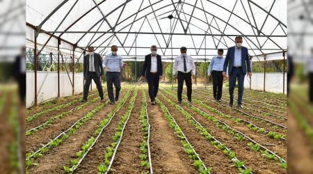 Seracılık sertifikası ilgi görüyor