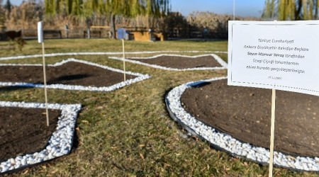 Sevgi Çiçeği Başkent'te koruma altında yetişecek