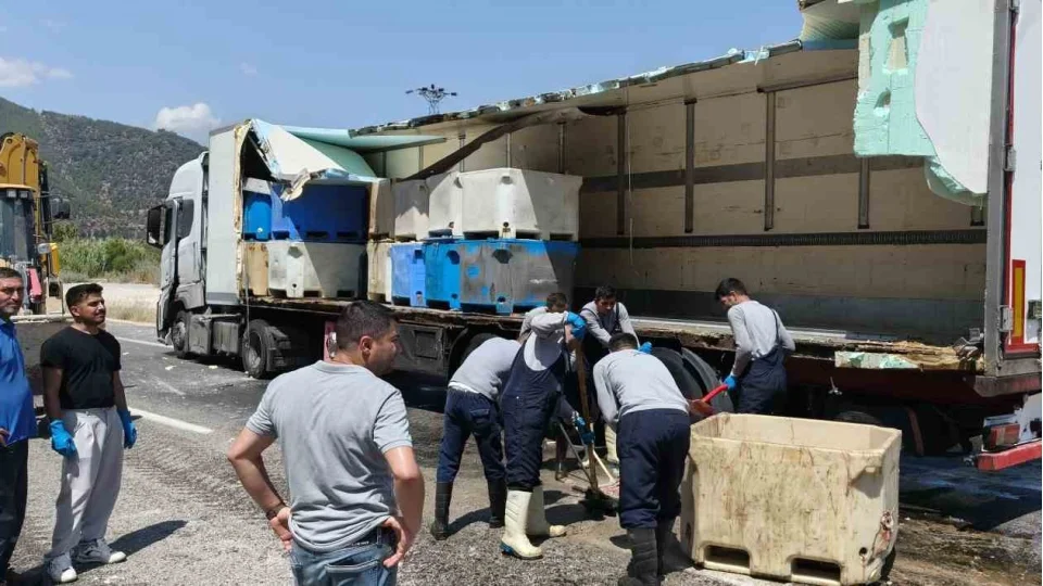 Seyir halindeki t�r�n dorsesi patlad�: 15 ton bal�k at��� yola sa��ld�
