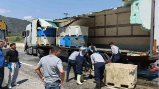 Seyir halindeki t�r�n dorsesi patlad�: 15 ton bal�k at��� yola sa��ld�