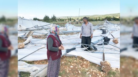 Şiddetli rüzgar seraları yıktı