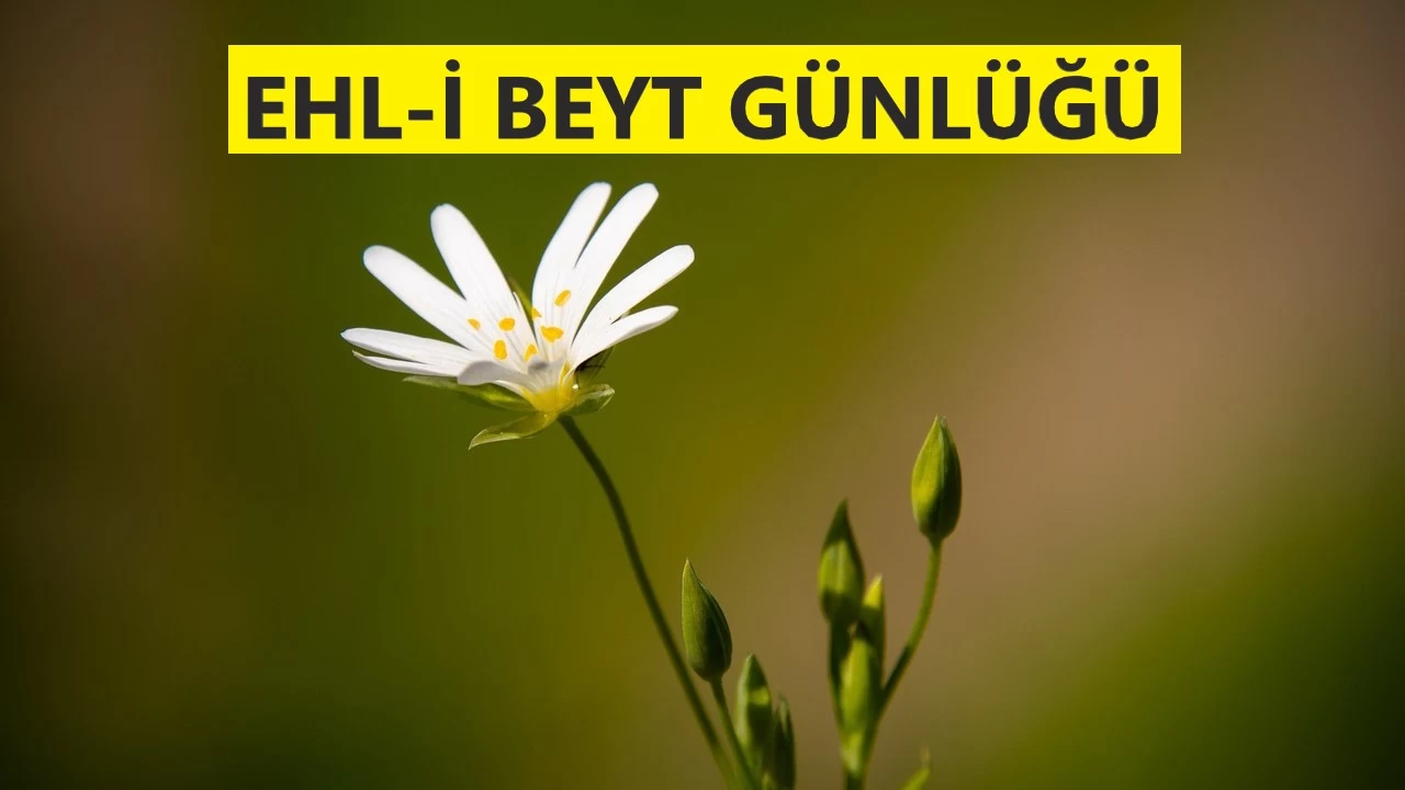 �Siz i�inizi s�rd�rmenin pe�indesiniz�