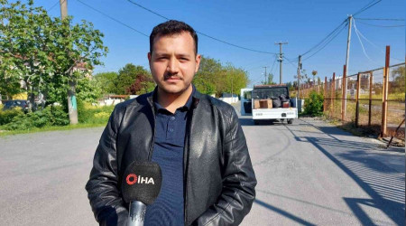 Sokak köpekleri yaşlı adama saldırdı