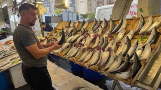 Su rnleri Dernei: 'En gvenilir protein kayna sularda'