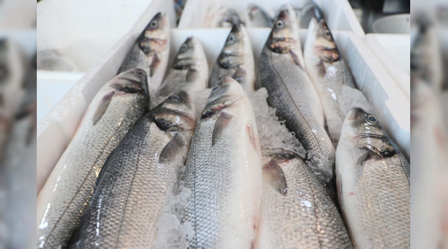 Su ürünlerinde en fazla ihracat Rusya'ya