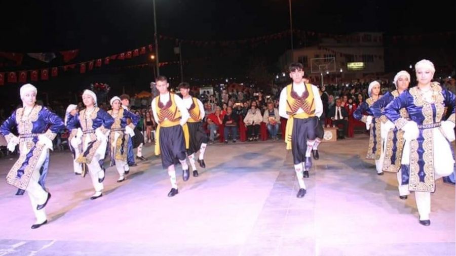 Sultanhisar'da �ilek festivali ger�ekle�tirildi