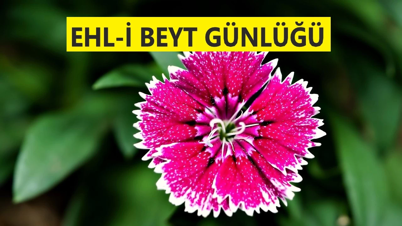 Sünneti bozandan teberri farzdır