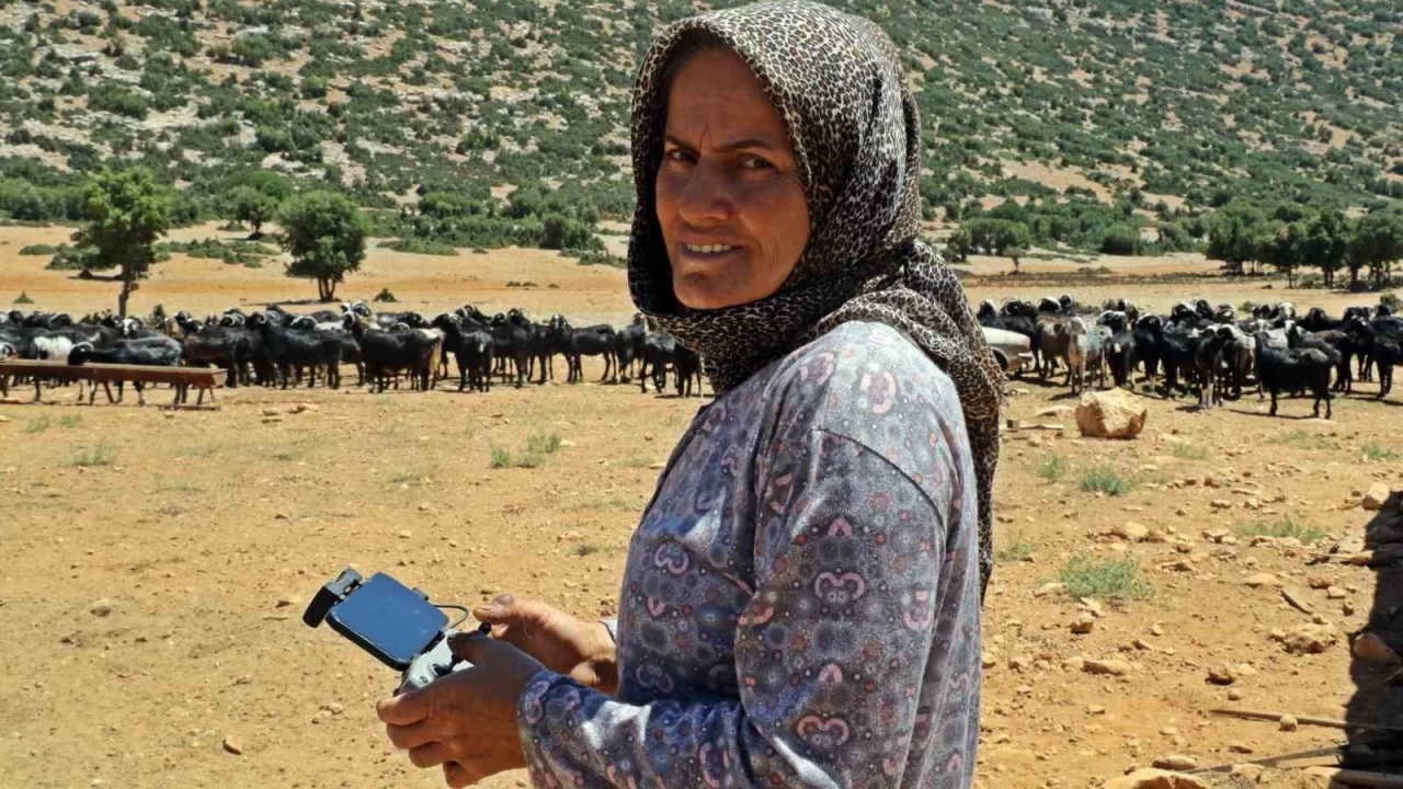 S�r�s�ne dadanan kurtlar, �oban kad�n� dron pilotu yapt�