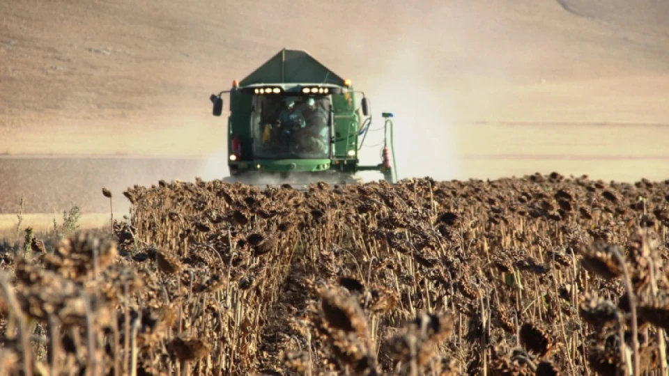 Tar�m �FE y�ll�k y�zde 31.45 artt�