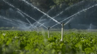 Tarımda doğru sulama teknikleri şart