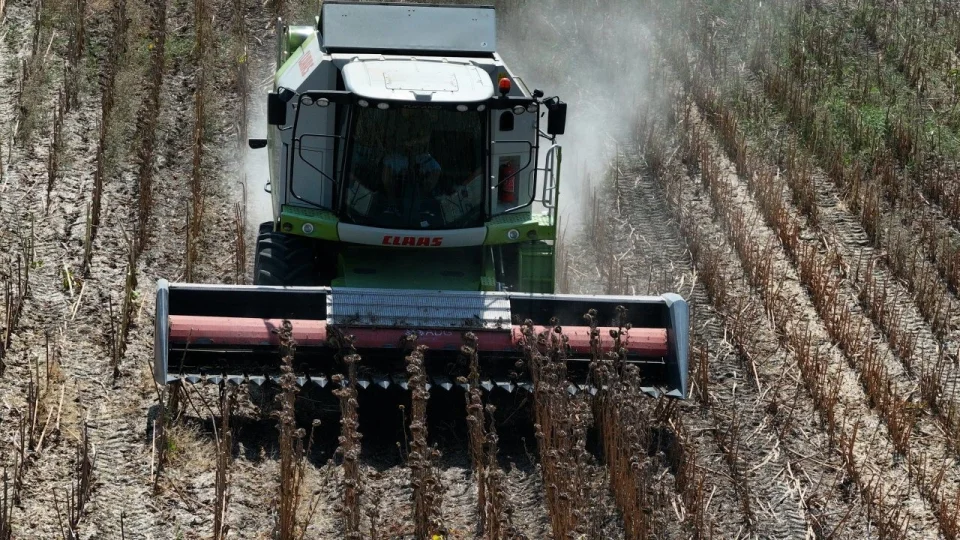 Tar�mda maliyet y�zde 43,58 artt�