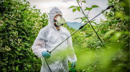 Tarımda zehir kullanımı sürüyor