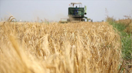 Tarımsal girdi fiyatları yıllık yüzde 40.2 arttı