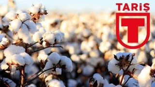 TAR Pamuk Birlii'nde 'zimmet' iddialar derinleiyor