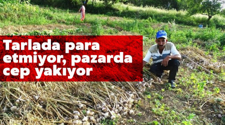 Tarlada para etmiyor, pazarda cep yakıyor