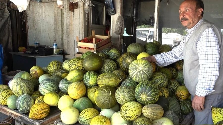 'Terziler kavunu' tezgahlardaki yerini ald�