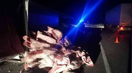 Tır devrildi, tonlarca karkas et yola saçıldı
