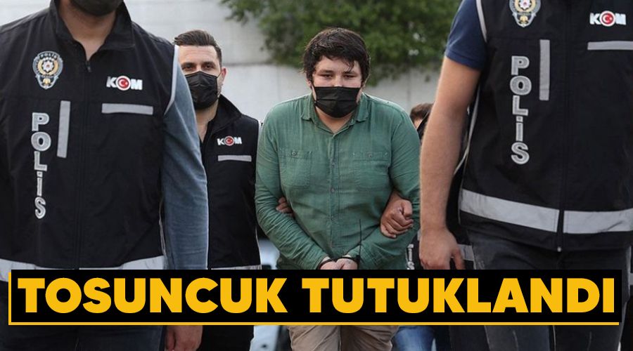 Tosuncuk tutukland�