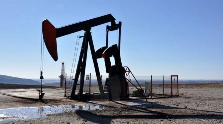 TPAO, Mardin ve Şırnak'ta petrol arayacak