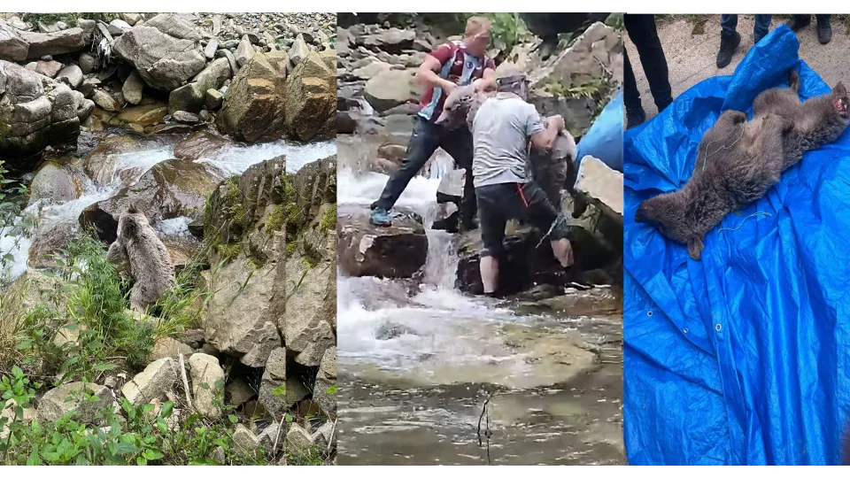 Trabzon'da ay� kurtarma operasyonu