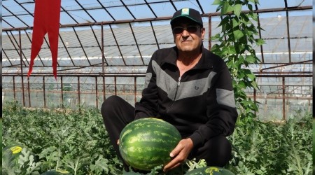 Turfanda karpuz tezgahlarda