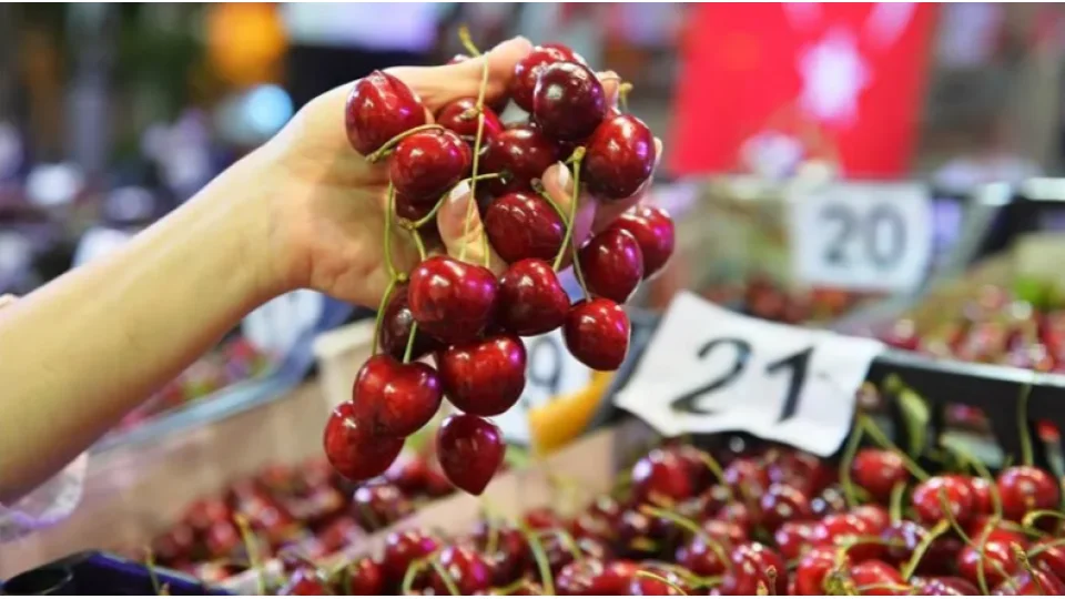 T�rk kiraz�n�n 'en iyisi'ni Almanlar yiyor