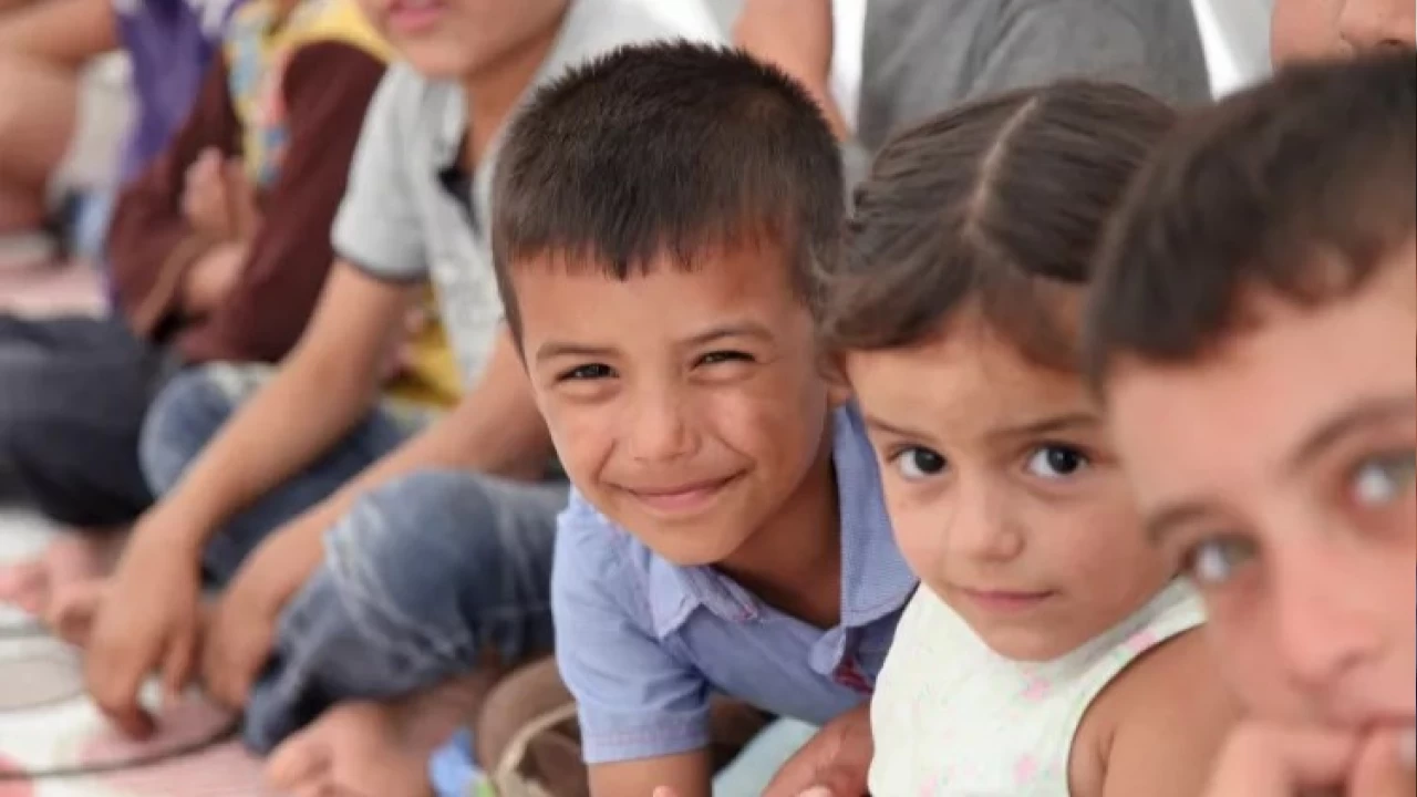 Trkiye'de ocuklarn yaad salk sorunlar ve nedenleri