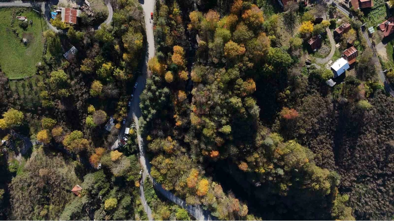 Türkiye'nin tek "cadı kazanı" şelalesinde sonbahar manzaraları