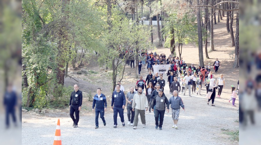 T�rkiye'nin y�zde 72'si hareketsiz 