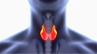 Uzman� uyard�: "Zehirli guatr belirtileri ihmal edilmemeli"