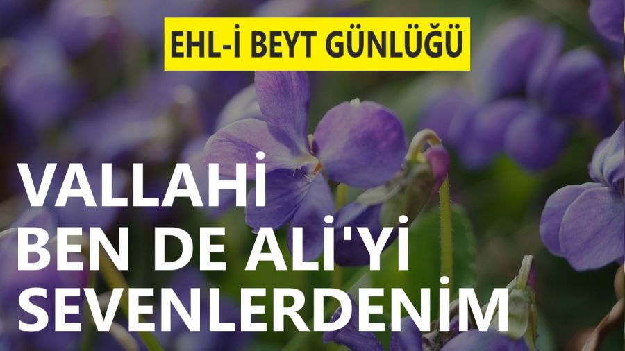 ‘Vallahi ben de Ali’yi sevenlerdenim’