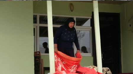 Van'da bir mahallenin ba bit ve pirelerle dertte