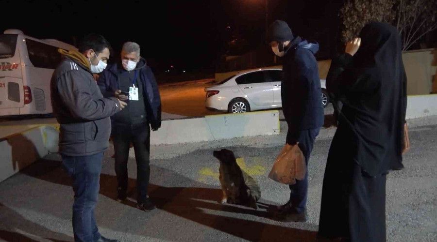 Vir�sl� kar�-koca otob�ste yakaland�