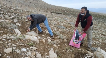Yaban hayvanlarına yem bırakıldı