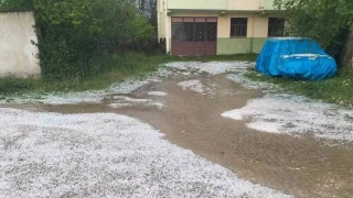 Yağışın etkili olduğu Devrekani'de ev ve iş yerlerini su bastı