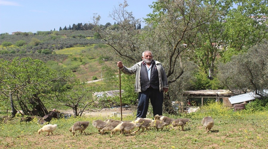 Ya�l� adama 20 milyonluk �ok