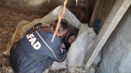 Yaşlı kadın donmak üzereyken bulundu