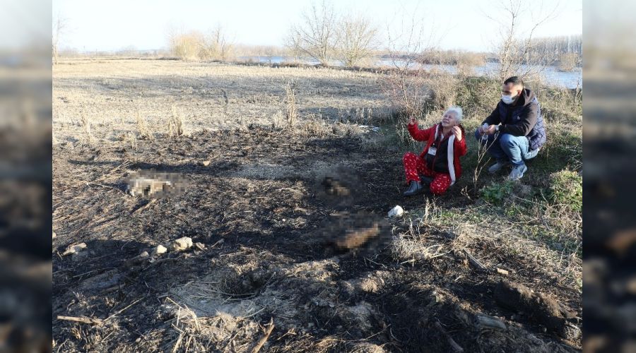 Yavru köpekleri yakarak katlettiler, Edirne'de kan donduran vahşet
