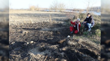 Yavru köpekleri yakarak katlettiler, Edirne'de kan donduran vahşet