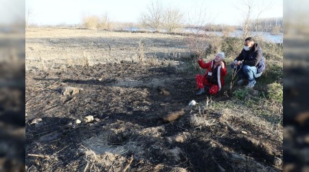 Yavru kpekleri yakarak katlettiler, Edirne'de kan donduran vahet