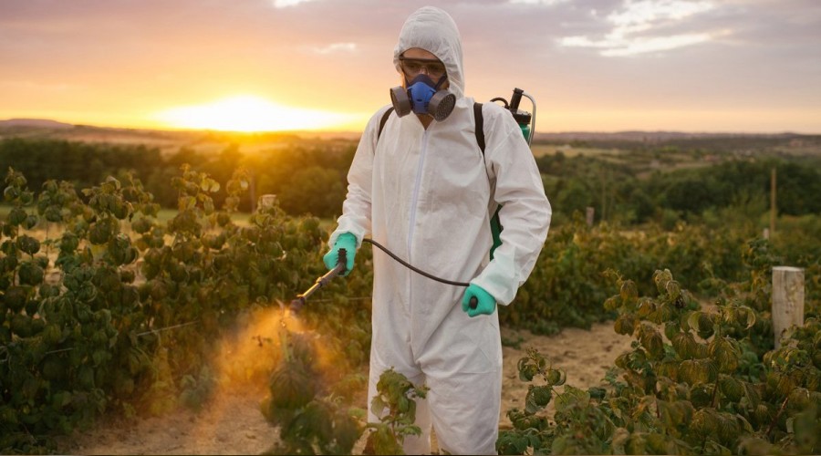 Yediklerimizden zehirleniyoruz