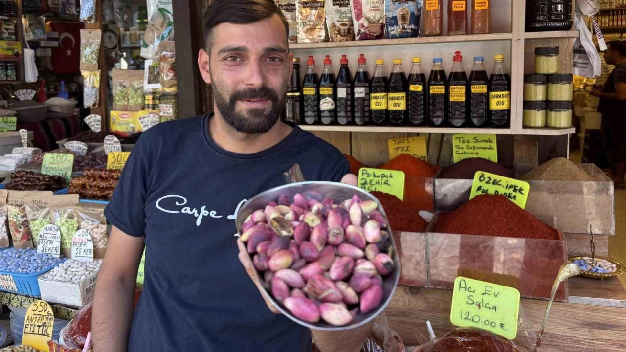 Yeni mahsul Antep fıstığı tezgaha indi