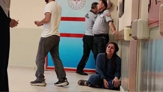 Yetiştirdiği arıların kurbanı oldu